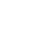 14pg icon